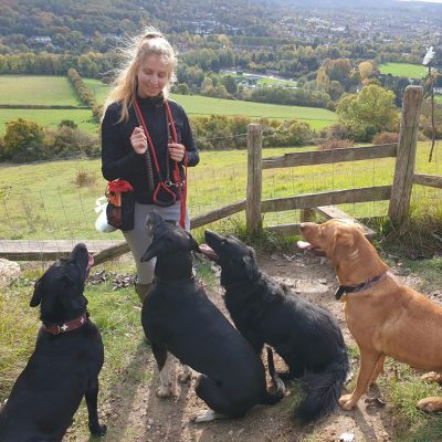 dogz4